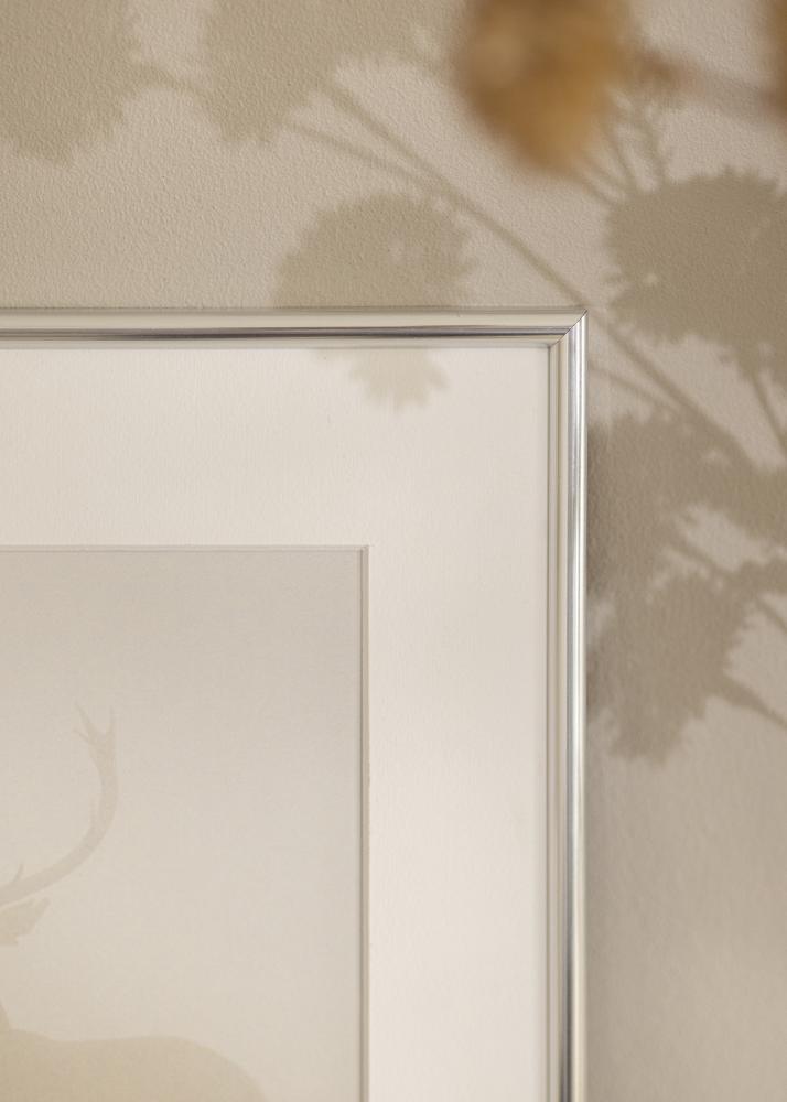 Rāmis Galeria Sudrabs 70x100 cm