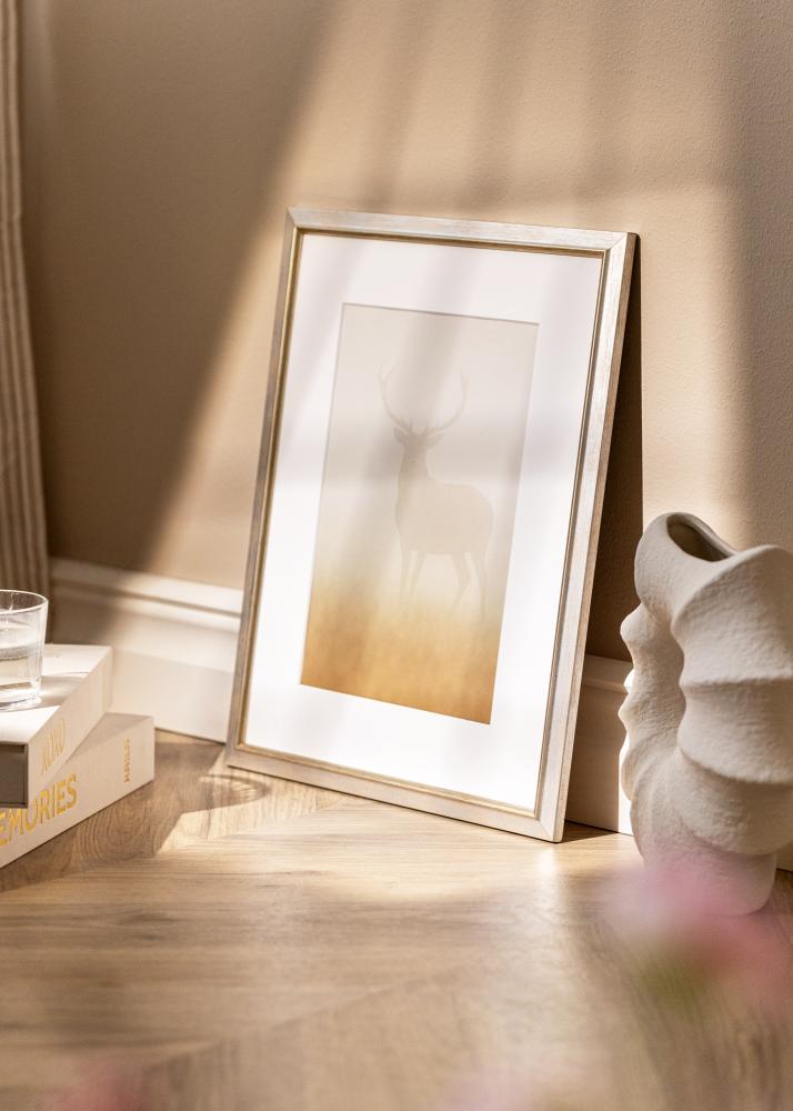 Rāmis Marisa Akrila stikls Sudrabs 20x30 cm