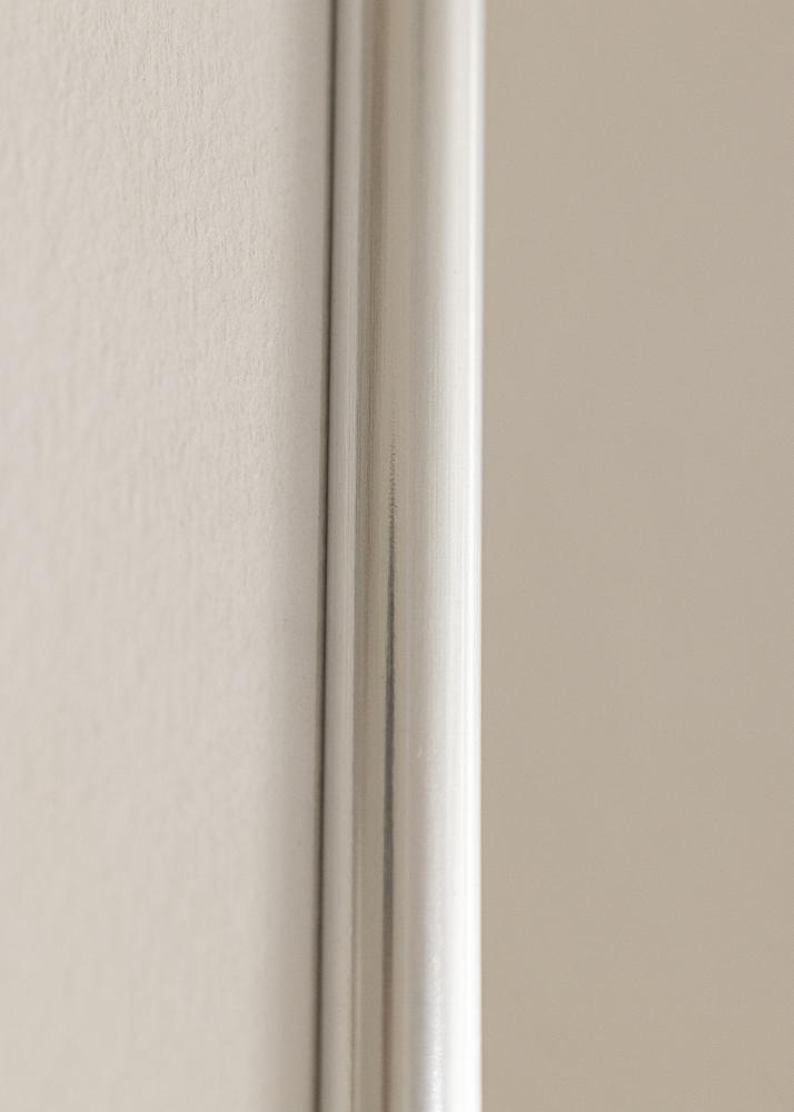 Rāmis Galeria Sudrabs 70x100 cm