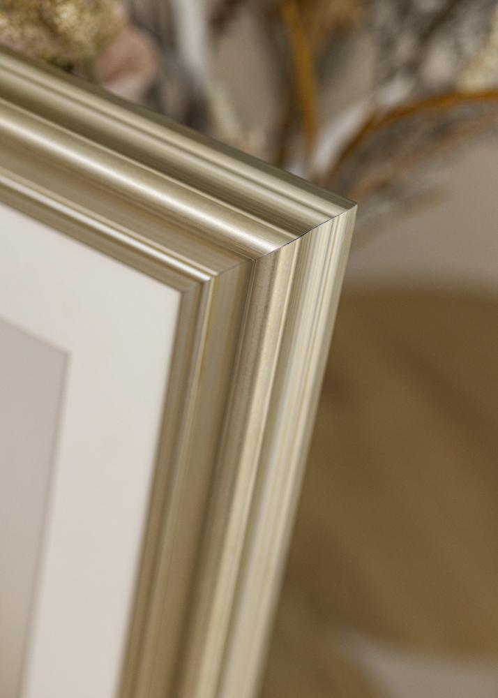 Rāmis Mora Premium Sudrabs 56x71 cm