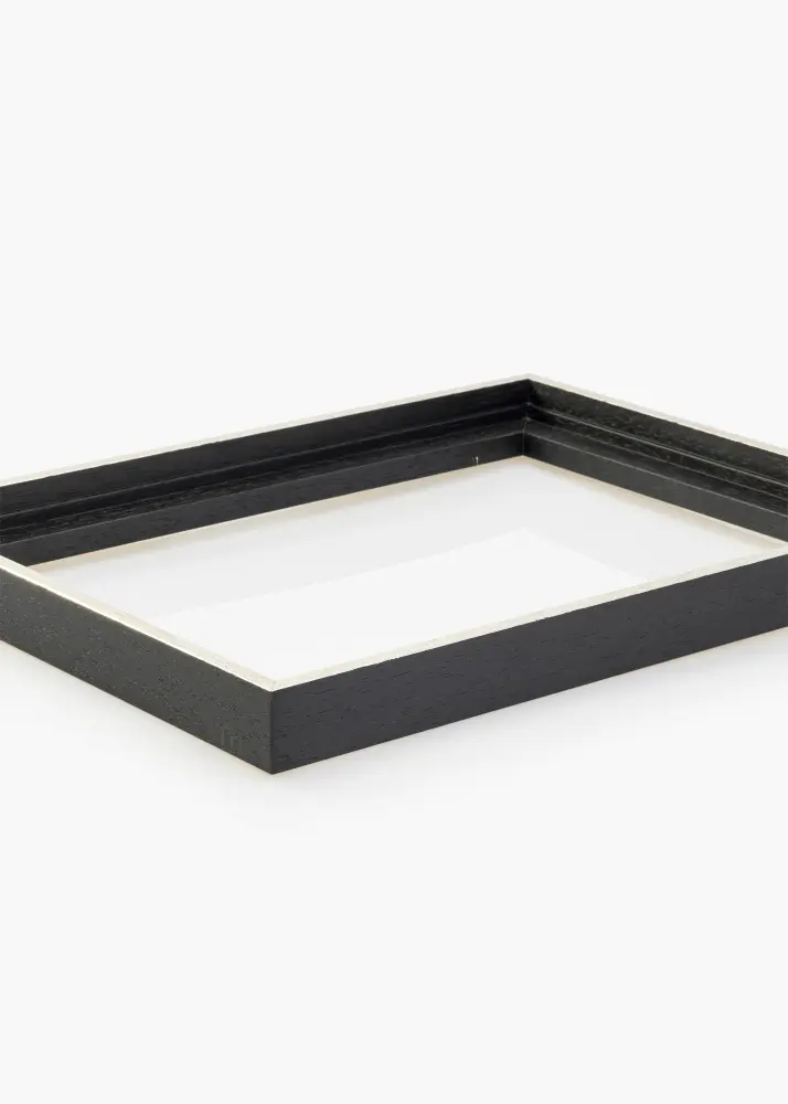Kanvas rāmis Lexington Melns / Sudrabs 40x100 cm