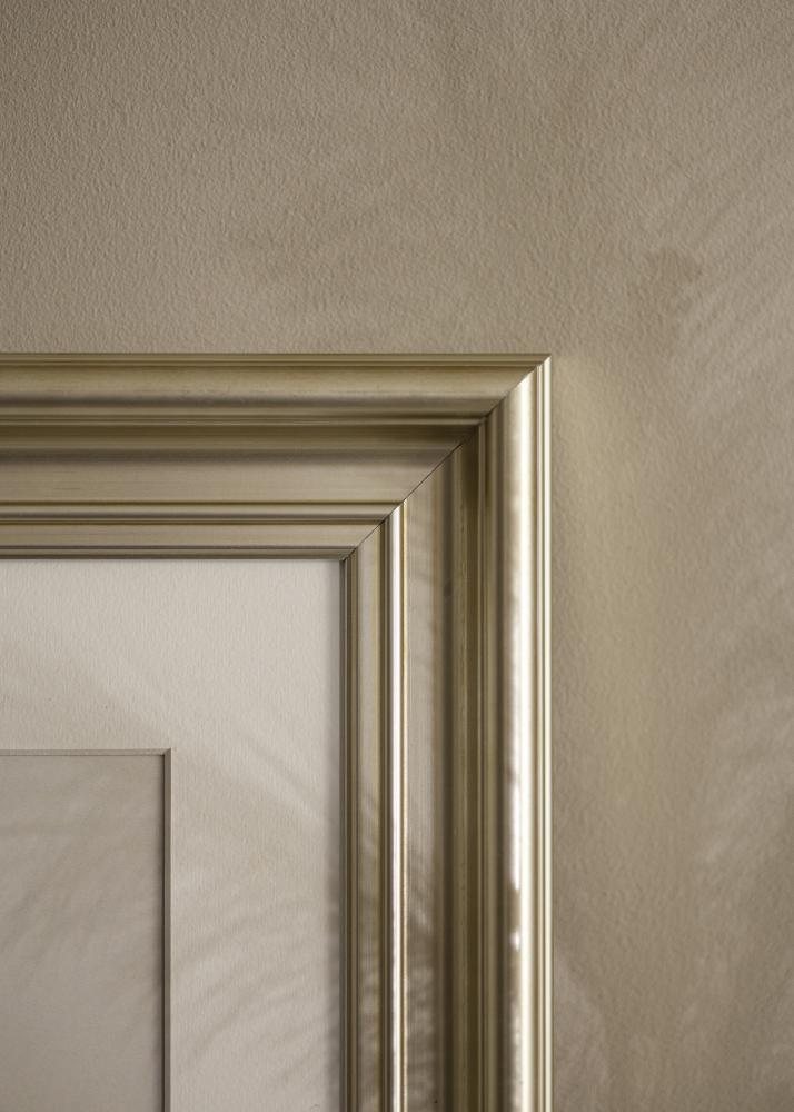 Rāmis Mora Premium Sudrabs 56x71 cm
