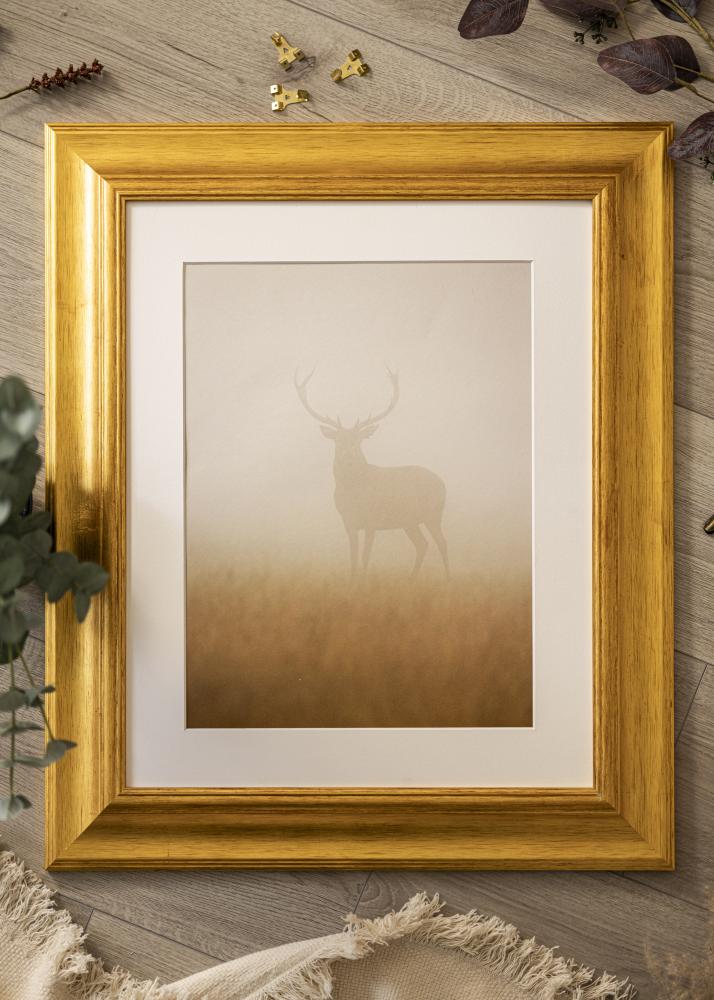 Rāmis Belfast Gaisma Zelta - Jebkurš izmērs