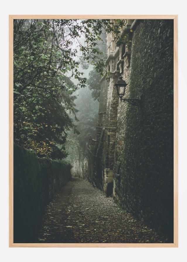 Fogy street Plakāts