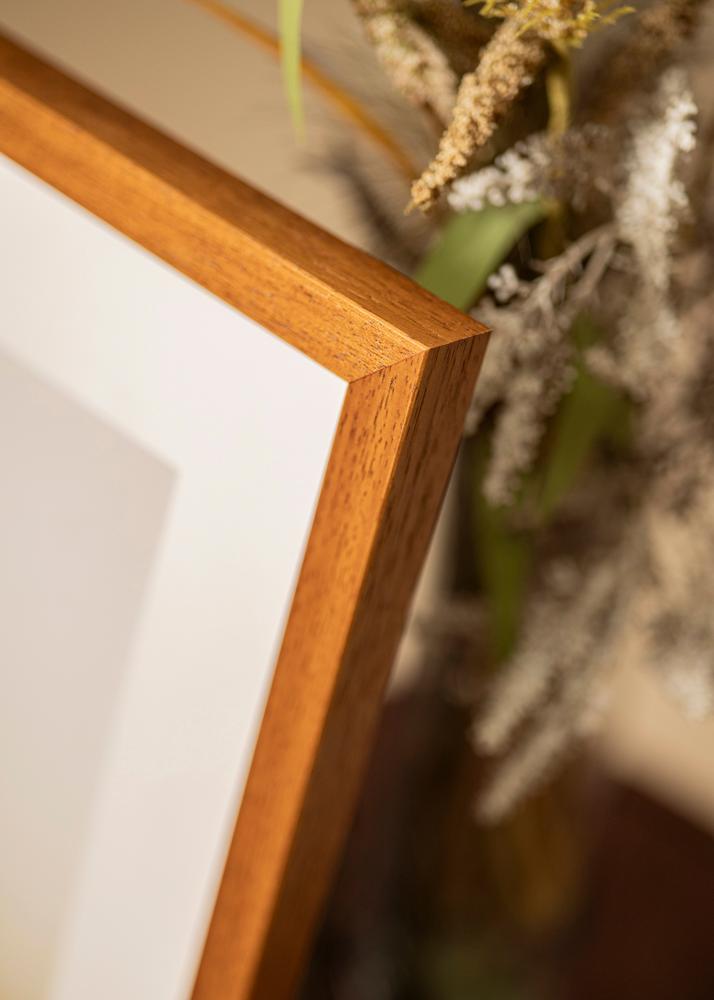 Rāmis Hermes Akrila stikls Dižskābardis 50x60 cm