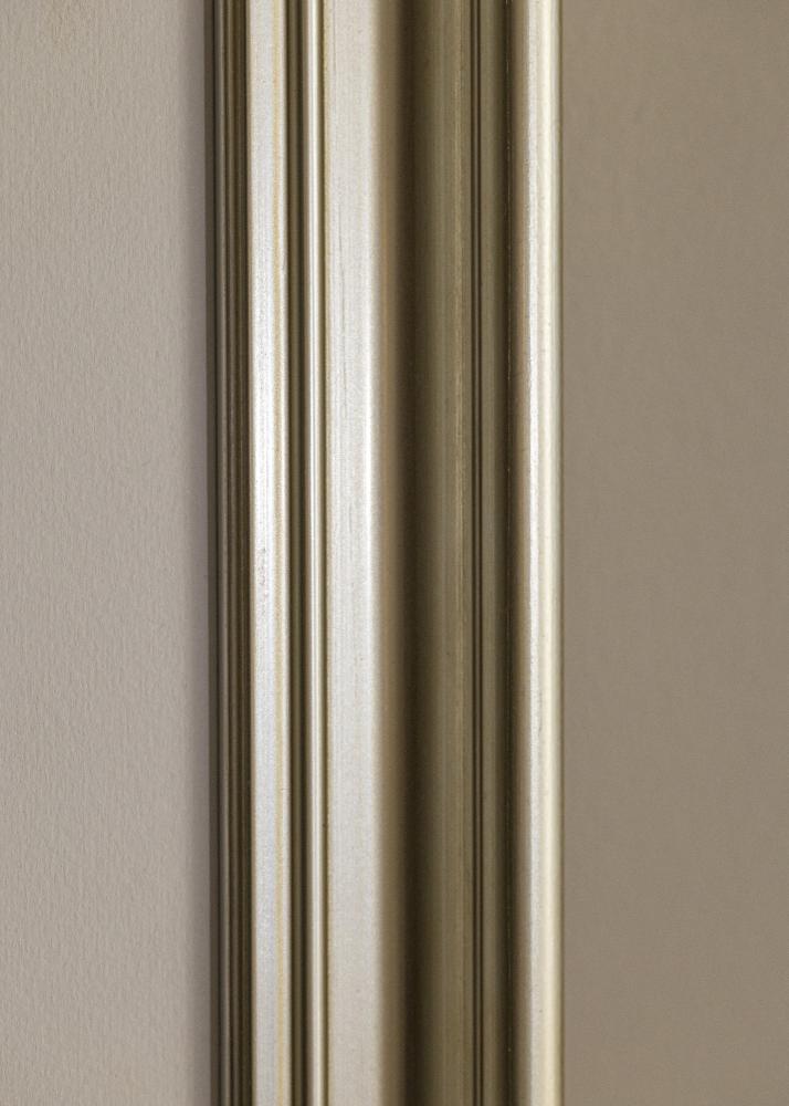 Rāmis Mora Premium Sudrabs 56x71 cm