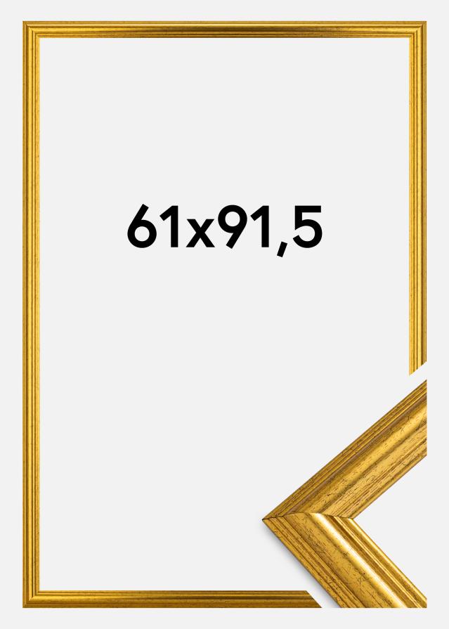 Rāmis Västkusten Akrila stikls Zelta 61x91,5 cm