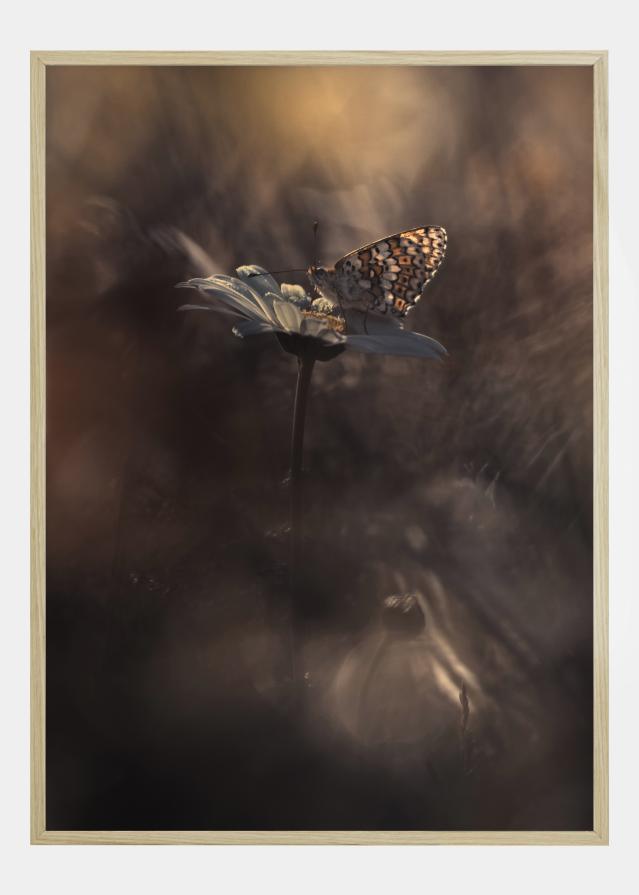 Pyrotechnics Plakāts