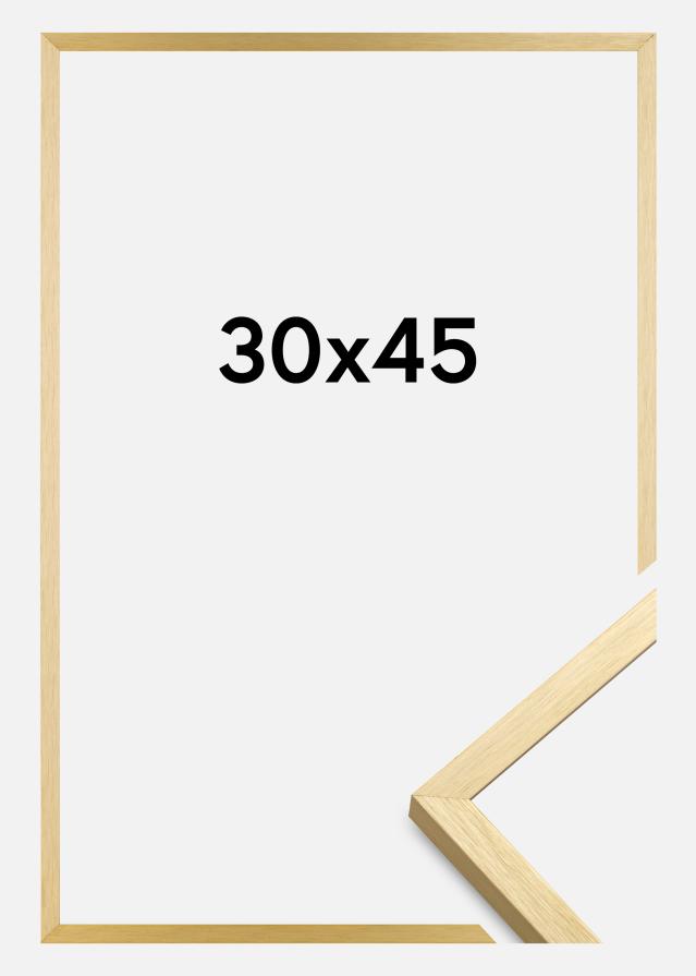 Rāmis Chair Zelta 30x45 cm