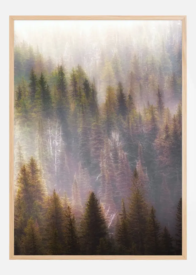 Misty Mood in the Forest Plakāts
