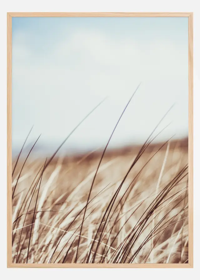 Dreamy Grass Plakāts