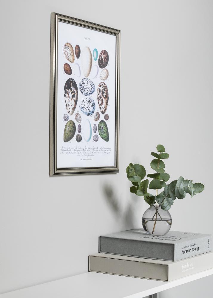 Rāmis Tango Sudrabs 13x18 cm