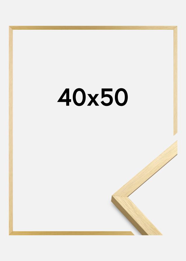 Rāmis Chair Zelta 40x50 cm