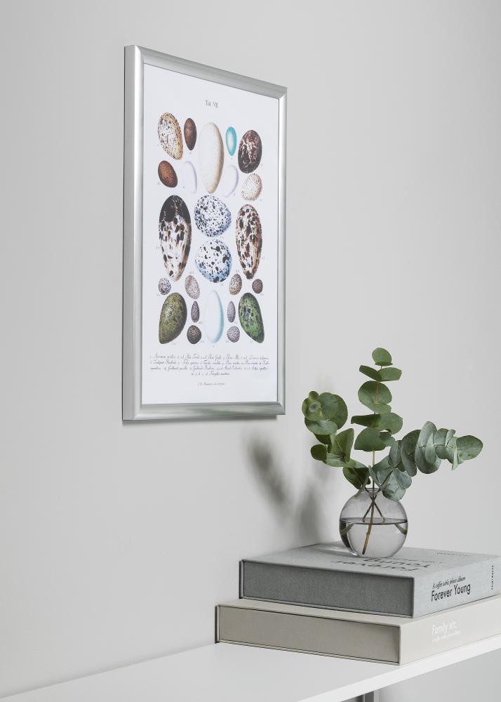 Rāmis Trendstyle Sudrabs 40x50 cm