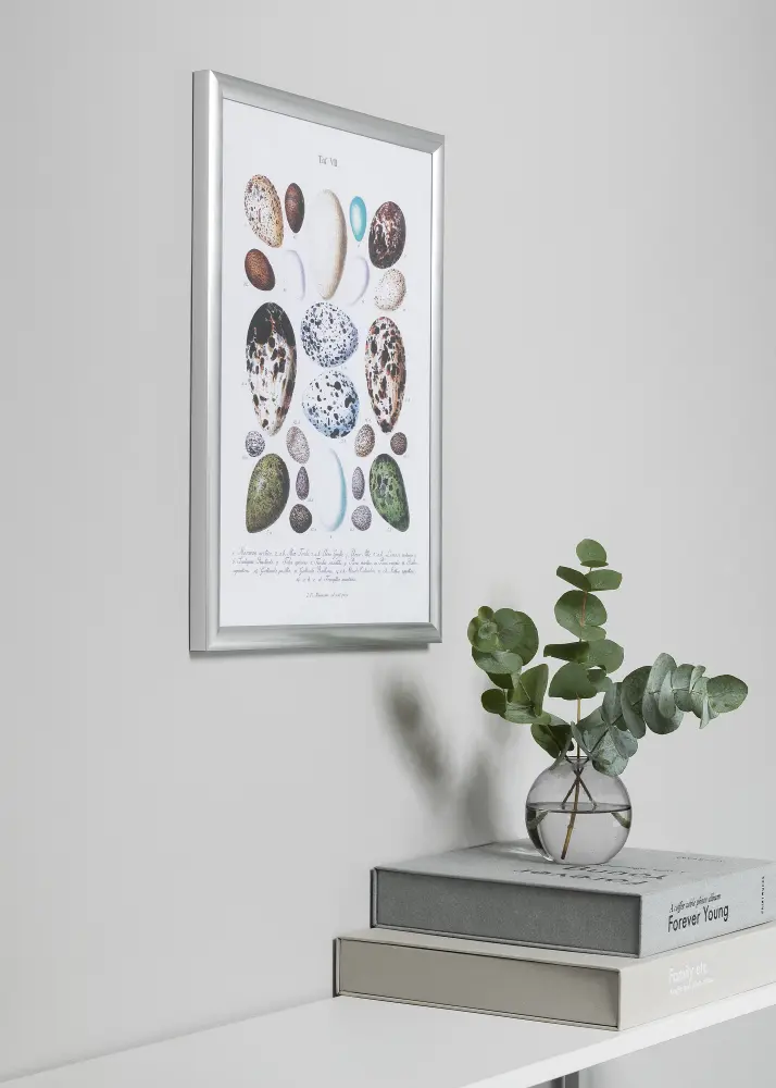 Rāmis Trendstyle Sudrabs 60x80 cm