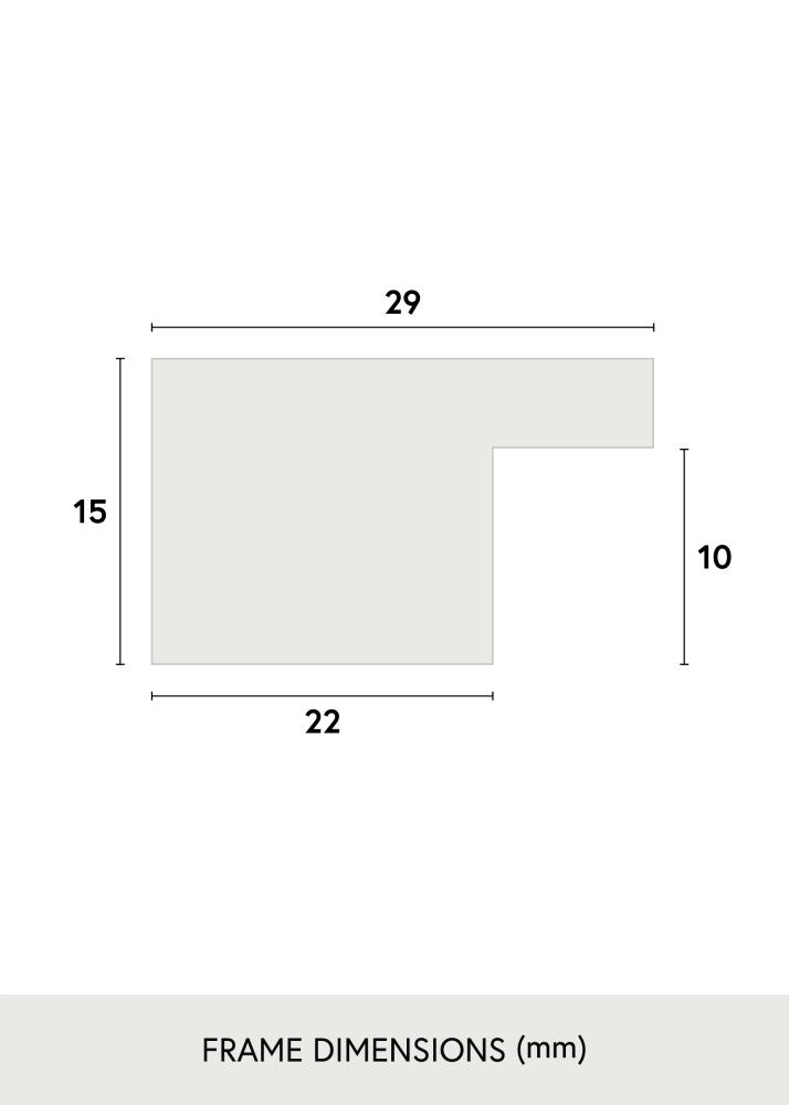 Rāmis Suberb AA 10x15 cm