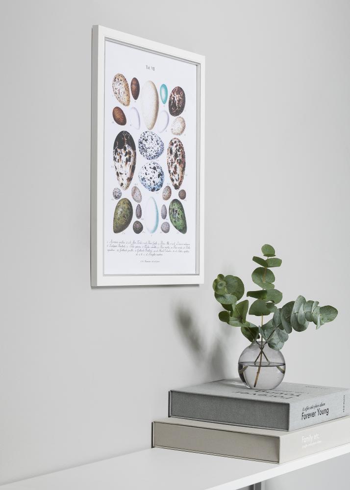 Rāmis Twist Balts 10x15 cm