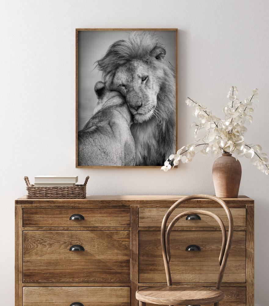 African Love! Plakāts