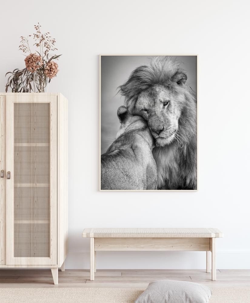 African Love! Plakāts