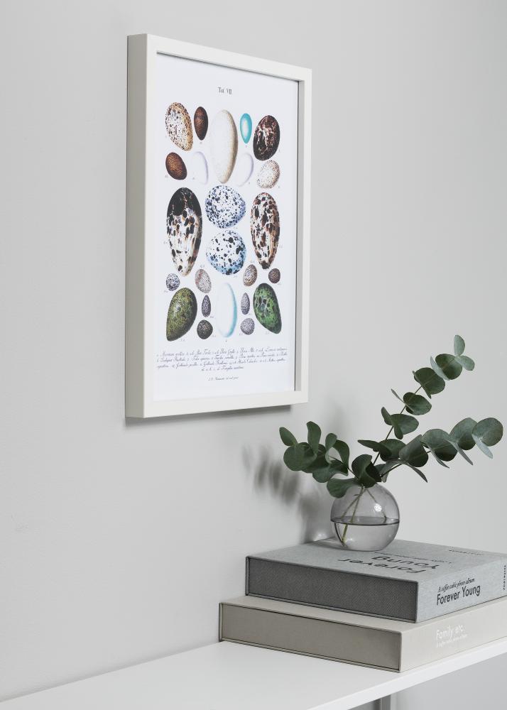 Rāmis Vivaldi Balts 40x60 cm