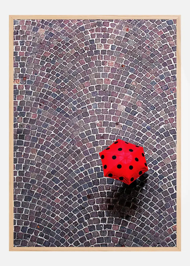 Urban Ladybug Plakāts