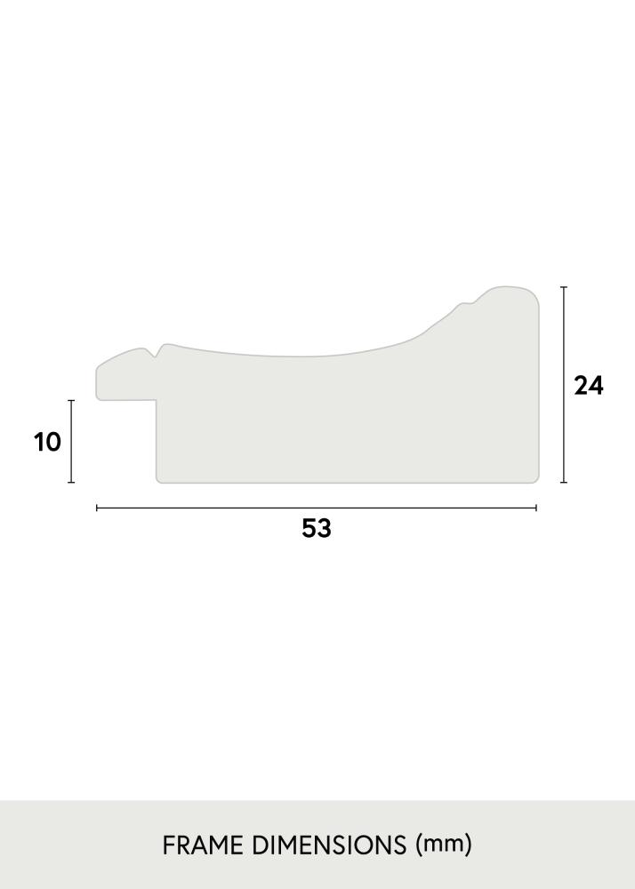 Rāmis Roxen Zelta Raibs - Jebkurš izmērs