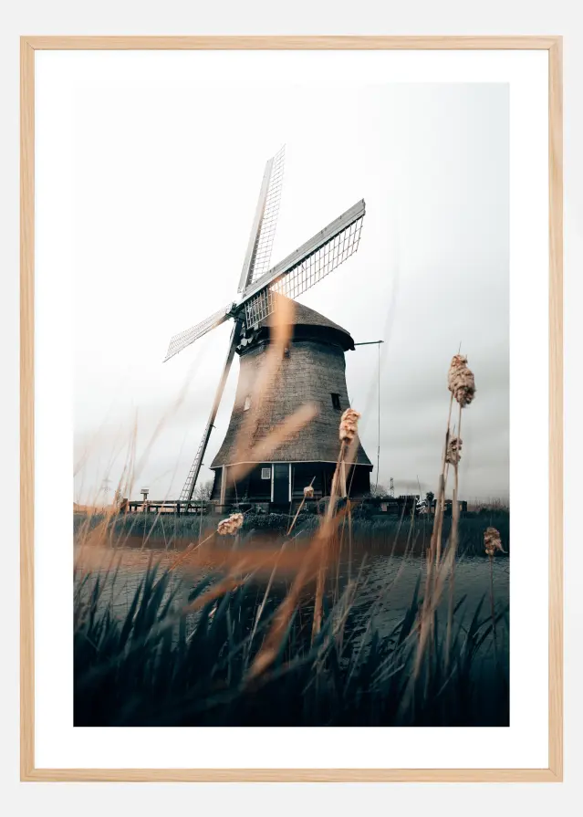 Dutch Windmill Plakāts