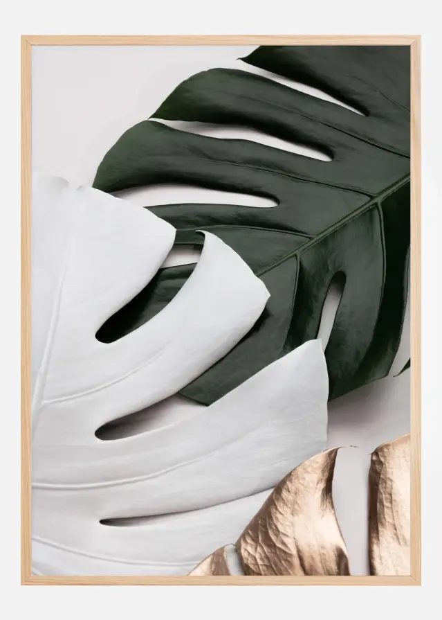 Monstera Colors Plakāts