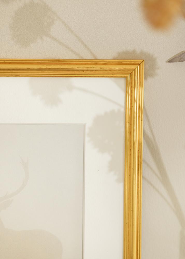 Rāmis Frigg Zelta 18x24 cm