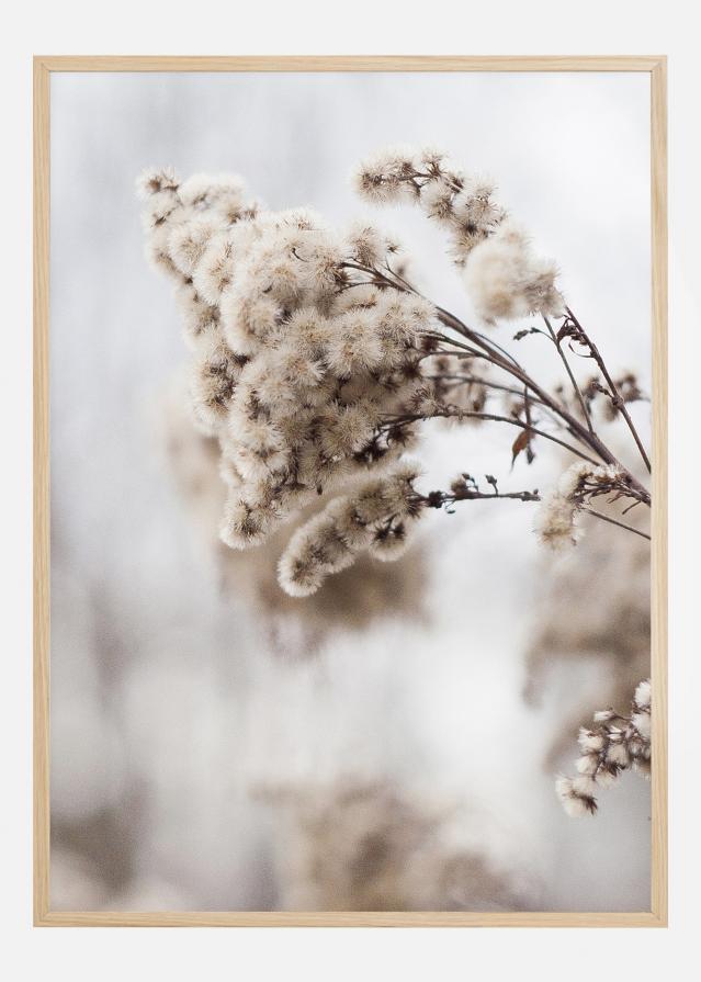 Winter Is Coming Plakāts