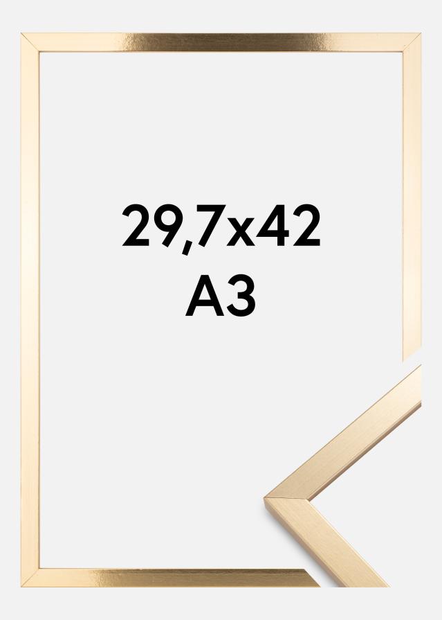 Rāmis Trendy Zelta 29,7x42 cm (A3)