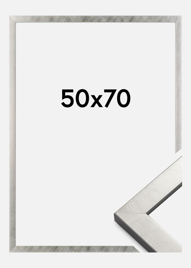 Rāmis Uppsala Sudrabs 50x70 cm