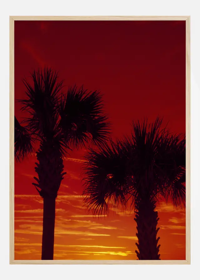 Red Palms Plakāts
