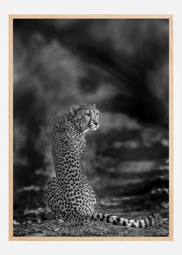 The look back Plakāts