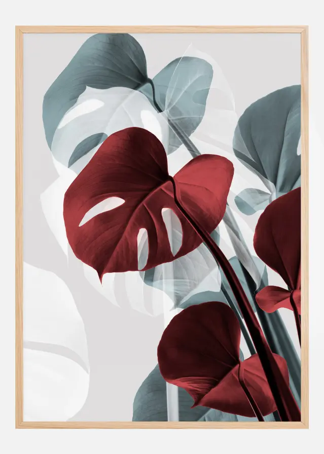Monstera Creative II Plakāts