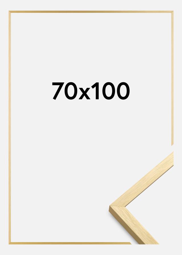 Rāmis Chair Zelta 70x100 cm