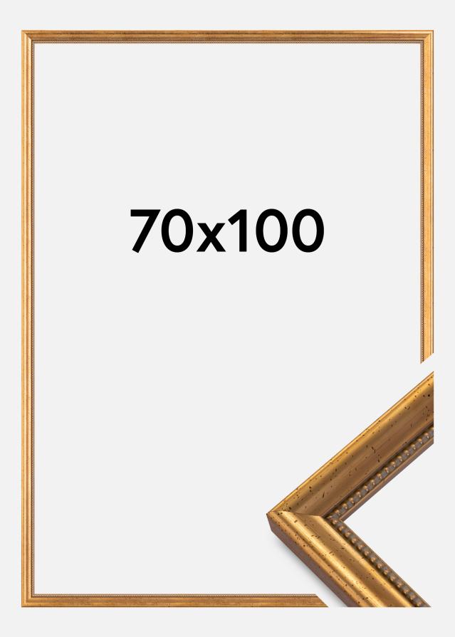 Rāmis Delighted 70x100 cm