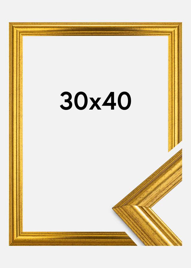 Rāmis Västkusten Zelta 30x40 cm