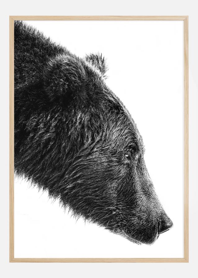 The Salmon Catcher Plakāts