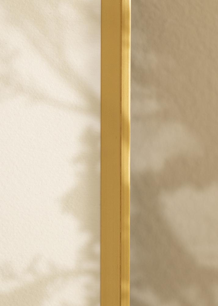 Rāmis Desire Akrila stikls Zelta 40x60 cm