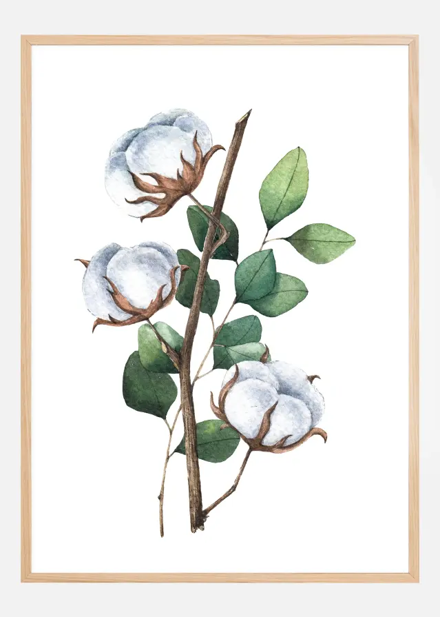 Cotton Flower Plakāts