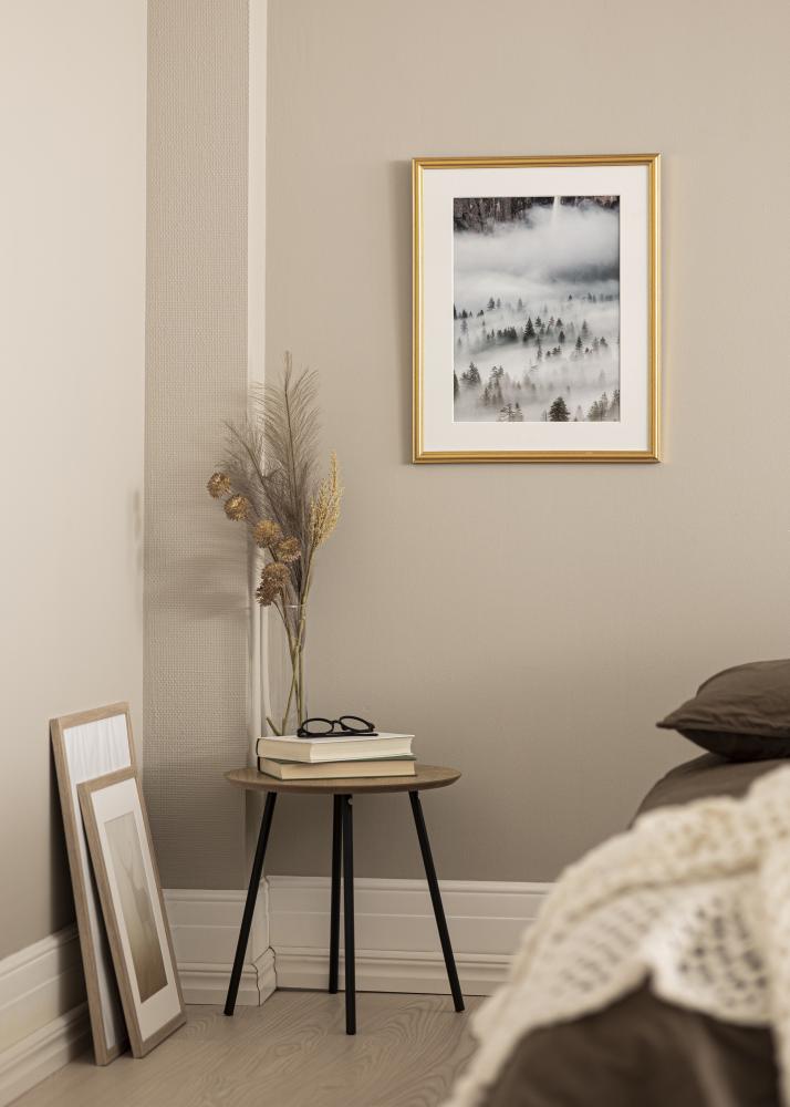 Rāmis Frigg Zelta 18x24 cm