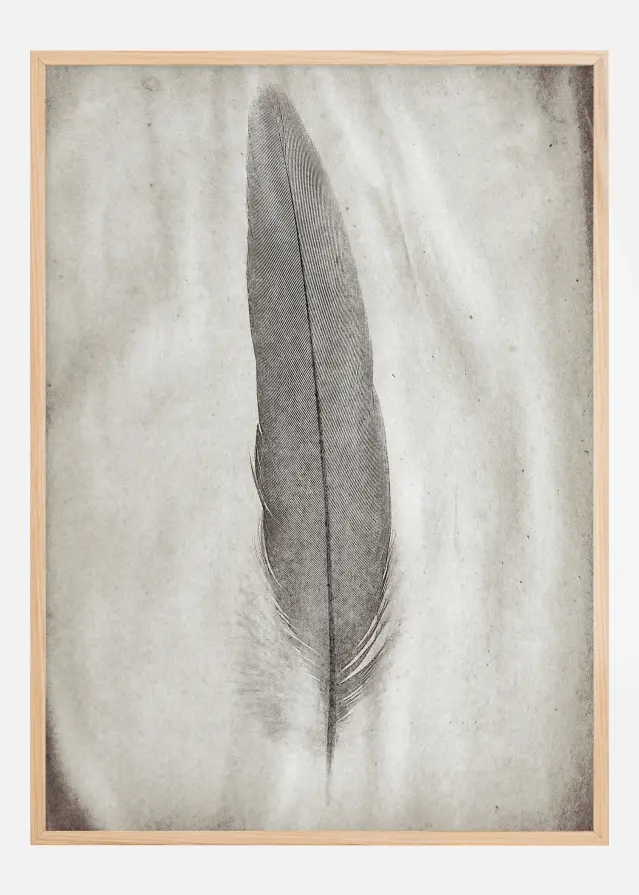 Aquarelle Feather Plakāts