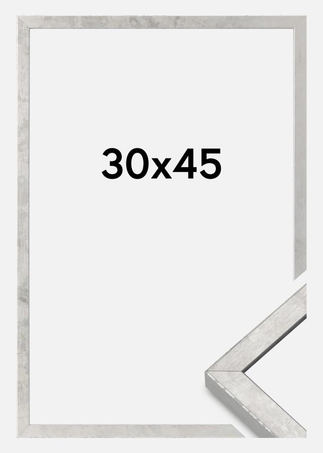 Rāmis Ares Akrila stikls Sudrabs 30x45 cm