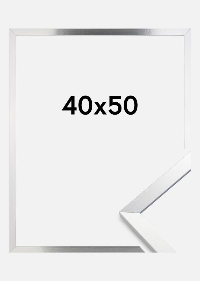 Rāmis Trendy Sudrabs 40x50 cm