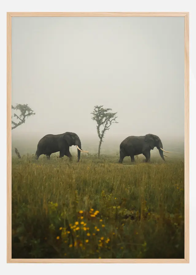 Elephant Walk Plakāts