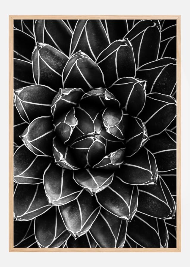 Natural math Plakāts