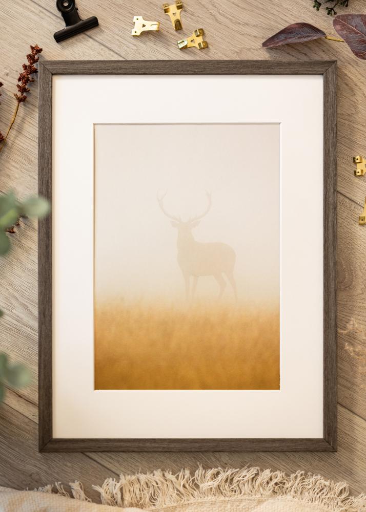 Rāmis Ares Akrila stikls Grey Oak 42x59,4 cm (A2)