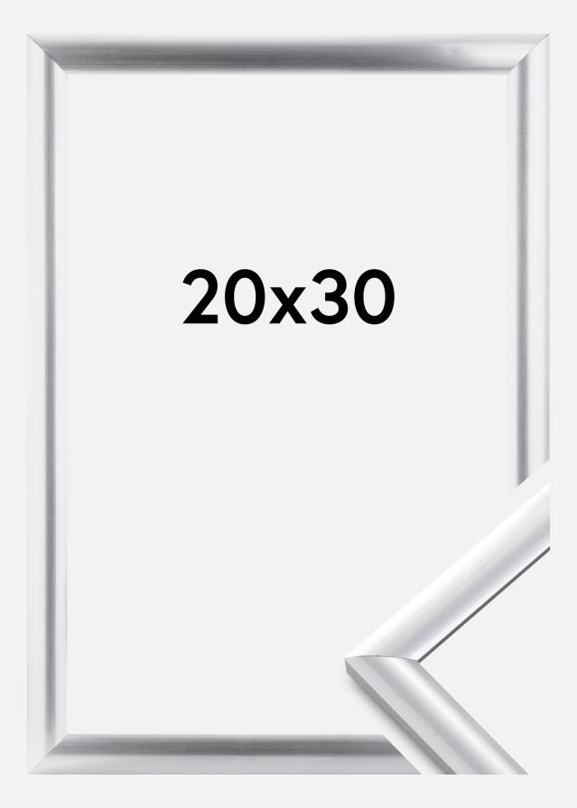 Rāmis Trendstyle Sudrabs 20x30 cm