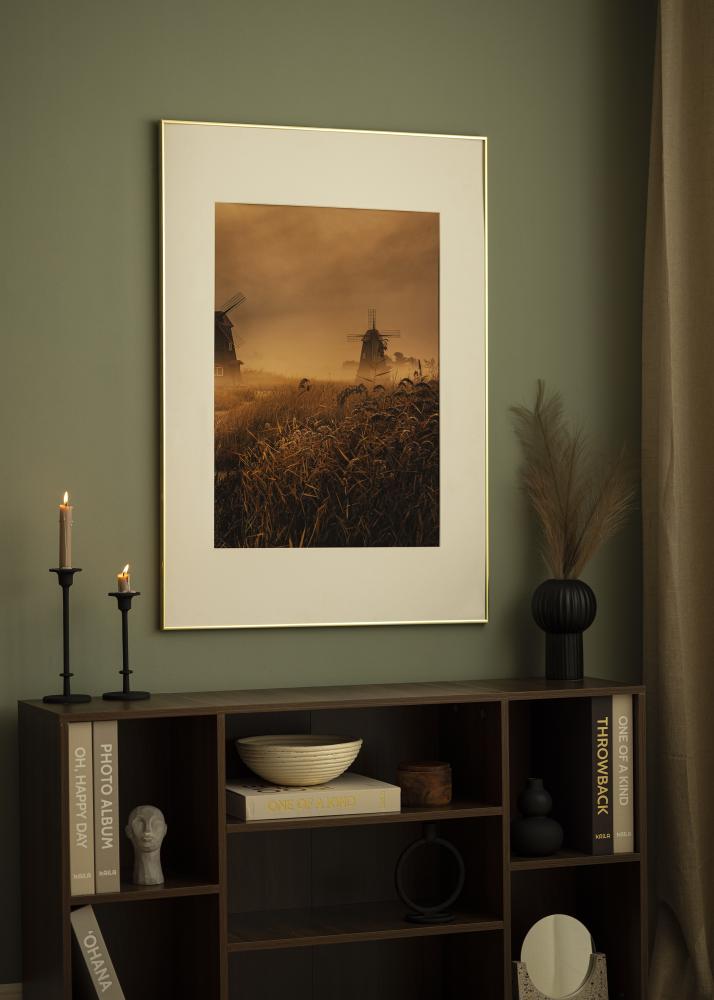 Rāmis Visby Akrila stikls Glansēts Zelts 70x100 cm